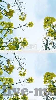 蜜臀麻豆av一区二区久久久久久-粉嫩诱惑 探秘网络小视频的魅力与迷思