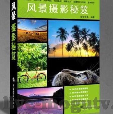 校园春色人妻都市-校园春色，人妻的都市微妙